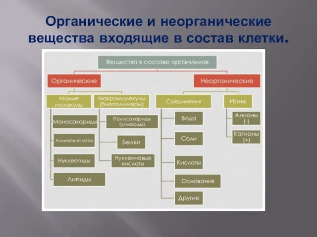 Органические и неорганические вещества входящие в состав клетки.