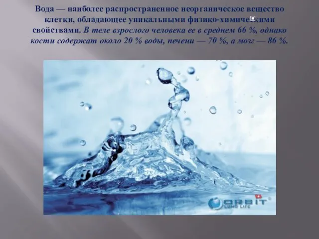 Вода — наиболее распространенное неорганическое вещество клетки, обладающее уникальными физико-химическими свойствами.