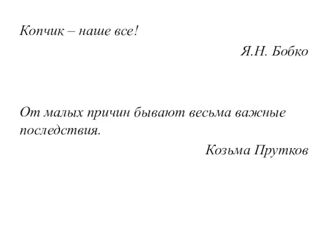 Копчик – наше все! Я.Н. Бобко От малых причин бывают весьма важные последствия. Козьма Прутков