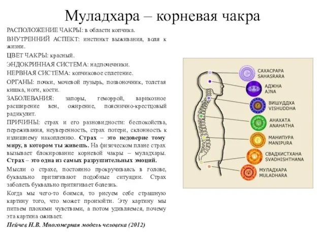 Муладхара – корневая чакра РАСПОЛОЖЕНИЕ ЧАКРЫ: в области копчика. ВНУТРЕННИЙ АСПЕКТ: