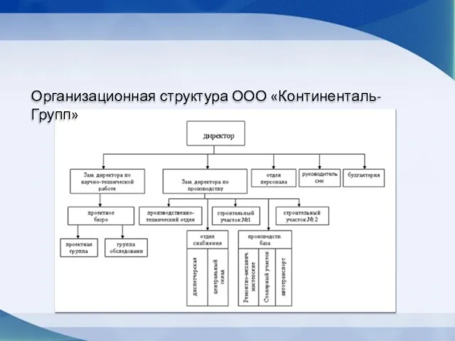 Организационная структура ООО «Континенталь-Групп»