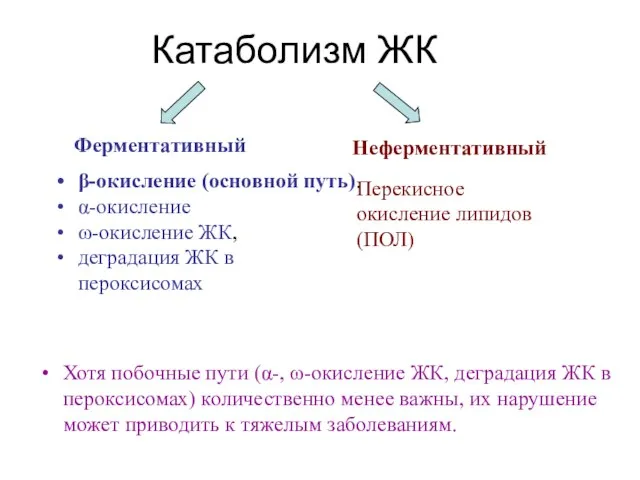 Катаболизм ЖК Хотя побочные пути (α-, ω-окисление ЖК, деградация ЖК в