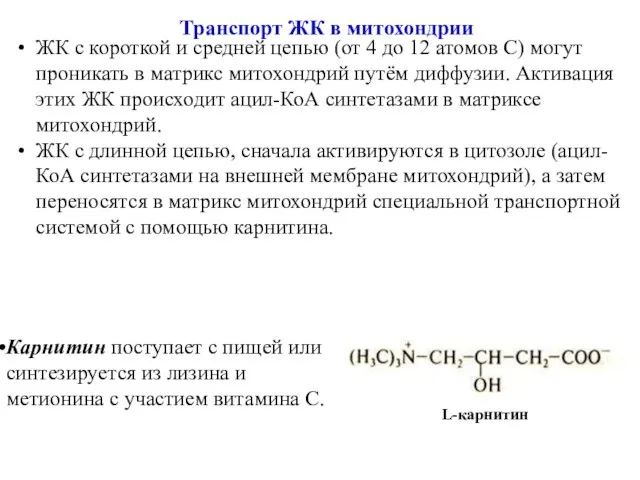 ЖК с короткой и средней цепью (от 4 до 12 атомов