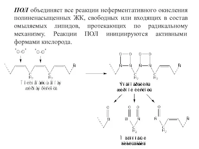 ПОЛ объединяет все реакции неферментативного окисления полиненасыщенных ЖК, свободных или входящих