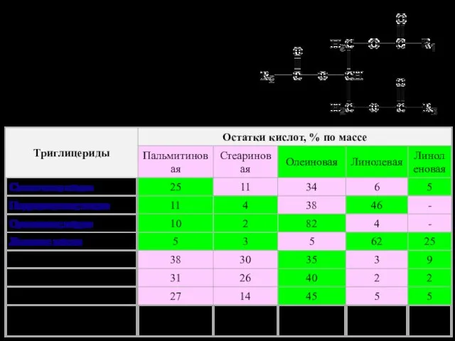 Триглицериды