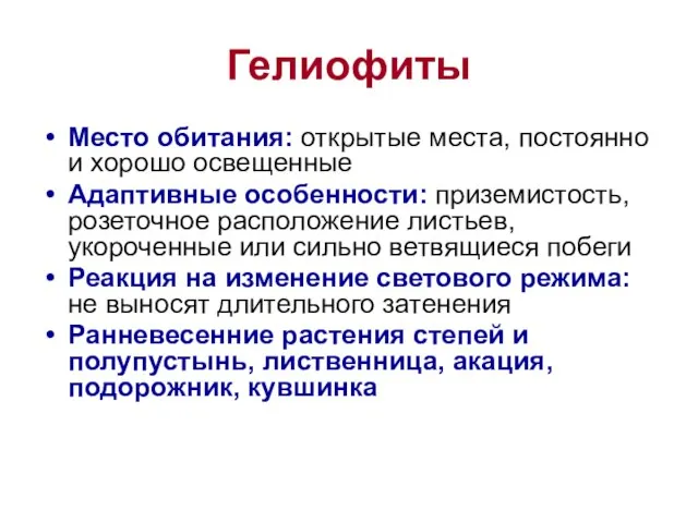 Гелиофиты Место обитания: открытые места, постоянно и хорошо освещенные Адаптивные особенности: