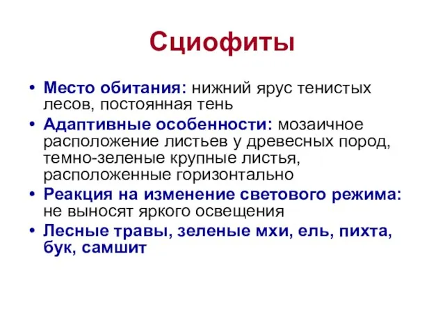 Сциофиты Место обитания: нижний ярус тенистых лесов, постоянная тень Адаптивные особенности: