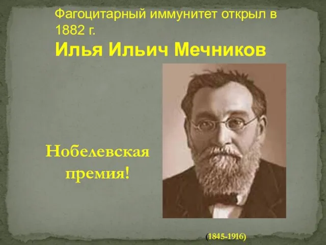 Фагоцитарный иммунитет открыл в 1882 г. Илья Ильич Мечников (1845-1916) Нобелевская премия!