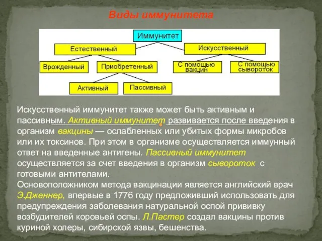 Искусственный иммунитет также может быть активным и пассивным. Активный иммунитет развивается