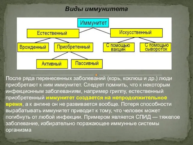 Виды иммунитета После ряда перенесенных заболеваний (корь, коклюш и др.) люди