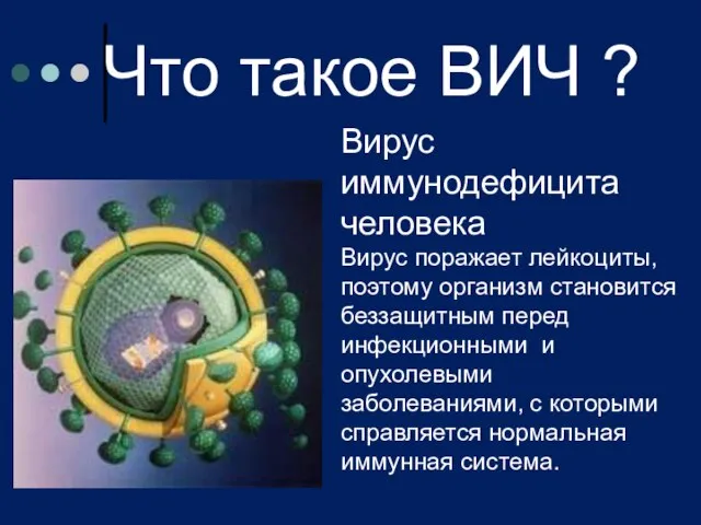 Что такое ВИЧ ? Вирус иммунодефицита человека Вирус поражает лейкоциты, поэтому