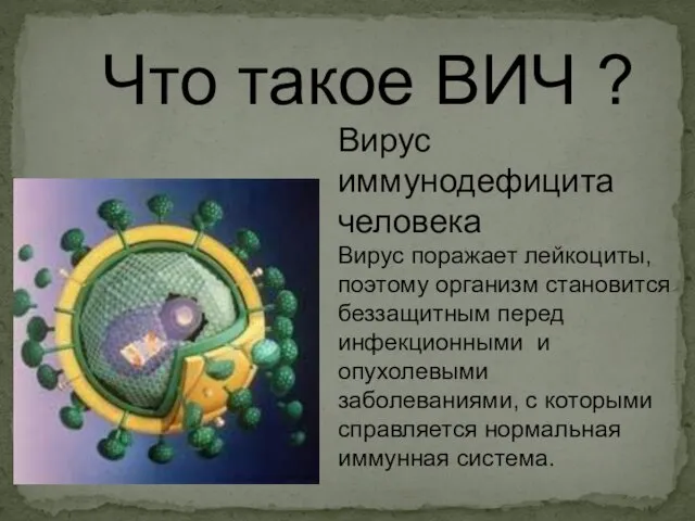 Что такое ВИЧ ? Вирус иммунодефицита человека Вирус поражает лейкоциты, поэтому