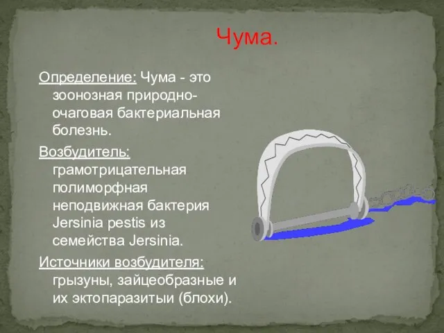 Чума. Определение: Чума - это зоонозная природно-очаговая бактериальная болезнь. Возбудитель: грамотрицательная