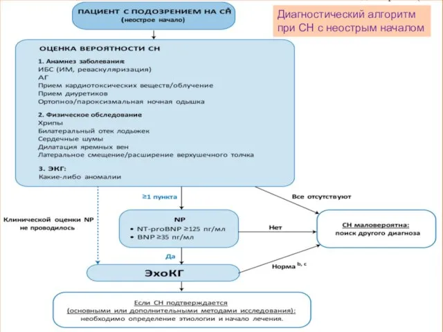 Диагностический алгоритм при СН с неострым началом Диагностический алгоритм при СН с неострым началом