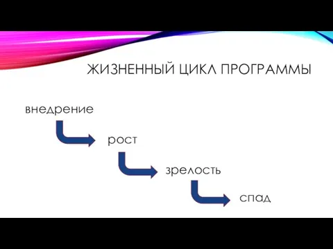 ЖИЗНЕННЫЙ ЦИКЛ ПРОГРАММЫ внедрение рост спад зрелость