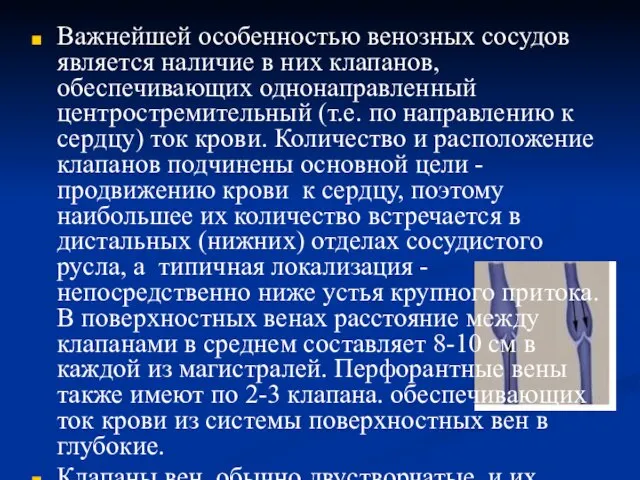 Важнейшей особенностью венозных сосудов является наличие в них клапанов, обеспечивающих однонаправленный