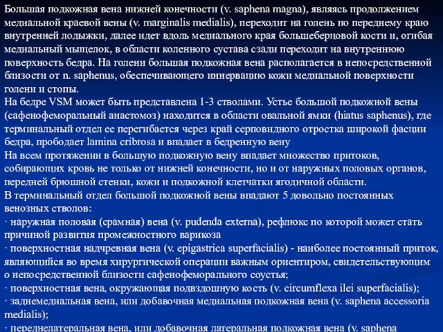 Большая подкожная вена нижней конечности (v. saphena magna), являясь продолжением медиальной