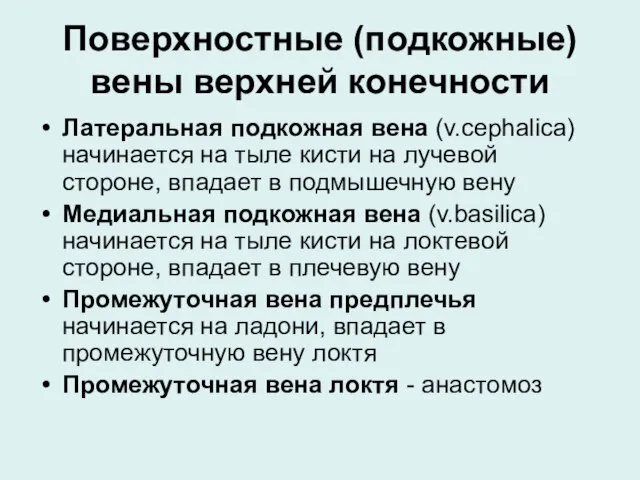 Поверхностные (подкожные) вены верхней конечности Латеральная подкожная вена (v.cephalica) начинается на