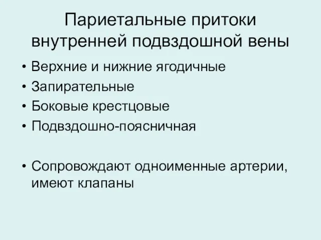 Париетальные притоки внутренней подвздошной вены Верхние и нижние ягодичные Запирательные Боковые