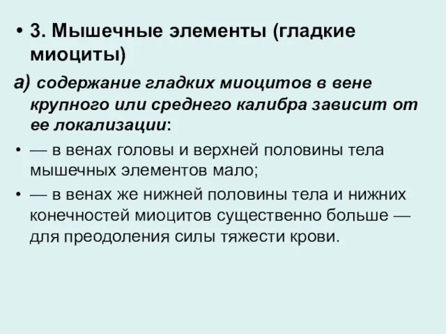 3. Мышечные элементы (гладкие миоциты) а) содержание гладких миоцитов в вене