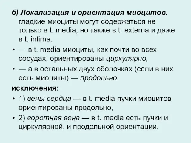 б) Локализация и ориентация миоцитов. гладкие миоциты могут содержаться не только