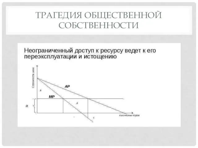 ТРАГЕДИЯ ОБЩЕСТВЕННОЙ СОБСТВЕННОСТИ