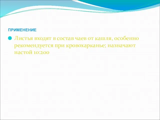 ПРИМЕНЕНИЕ Листья входят в состав чаев от кашля, особенно рекомендуется при кровохарканье; назначают настой 10:200