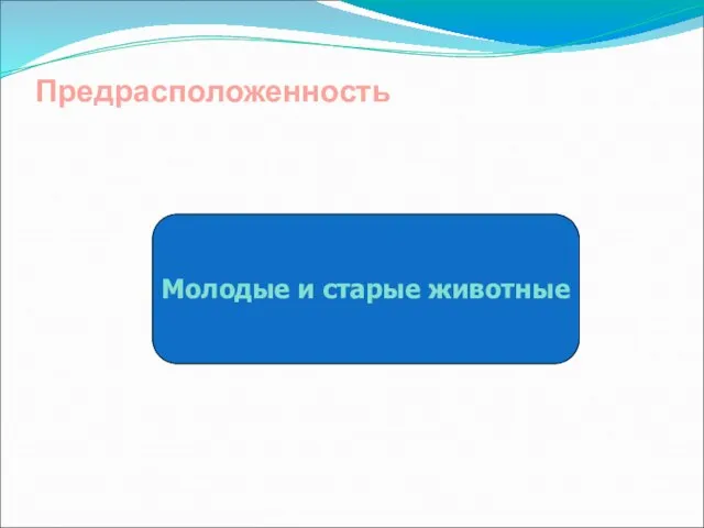 Предрасположенность Молодые и старые животные