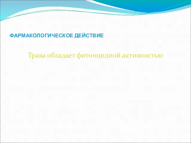 ФАРМАКОЛОГИЧЕСКОЕ ДЕЙСТВИЕ Трава обладает фитонцидной активностью