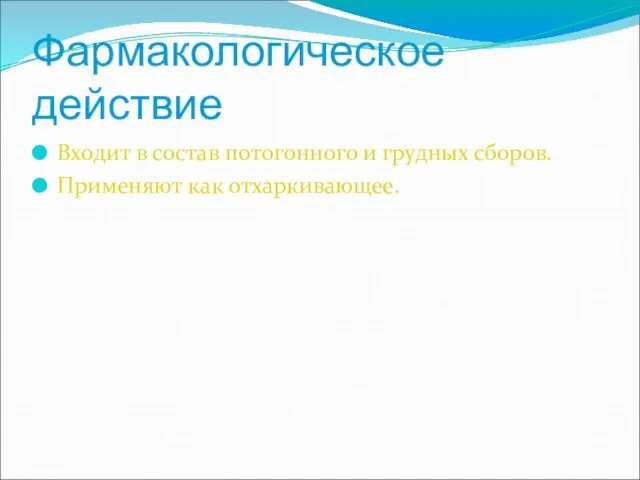 Фармакологическое действие Входит в состав потогонного и грудных сборов. Применяют как отхаркивающее.