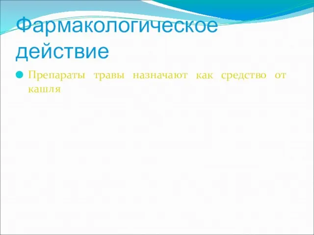 Фармакологическое действие Препараты травы назначают как средство от кашля