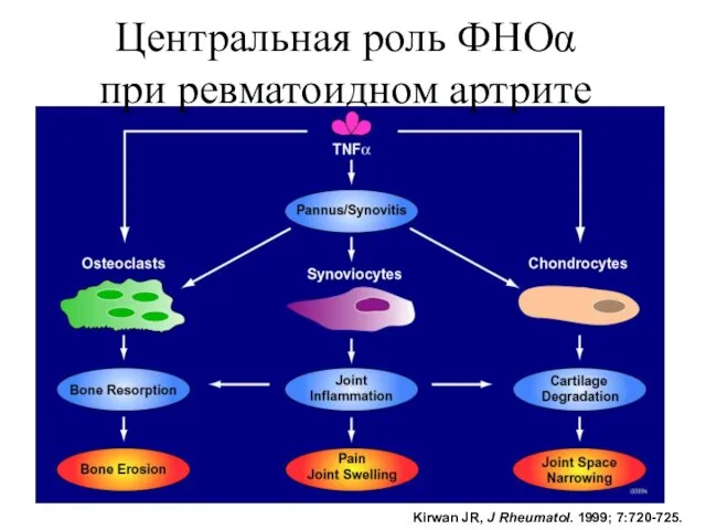 Центральная роль ФНОα при ревматоидном артрите Kirwan JR, J Rheumatol. 1999; 7:720-725.