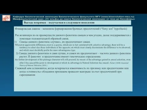 Фишеровская лавина – механизм формирования брачных предпочтений (“Sexy son” hypothesis) Раз