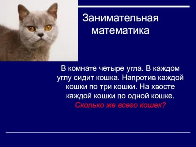 Занимательная математика В комнате четыре угла. В каждом углу сидит кошка.