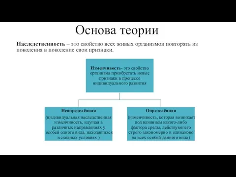 Основа теории Наследственность – это свойство всех живых организмов повторять из поколения в поколение свои признаки.