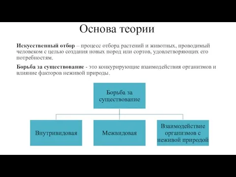 Основа теории Искусственный отбор – процесс отбора растений и животных, проводимый