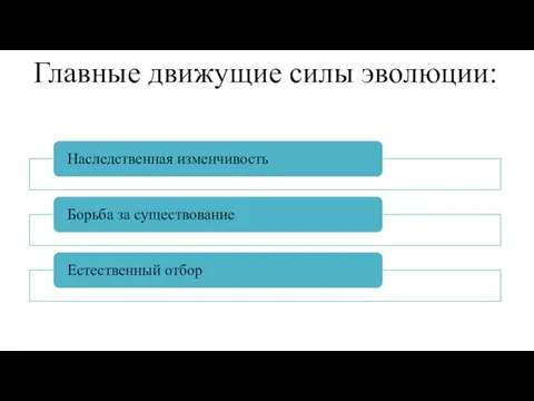 Главные движущие силы эволюции: