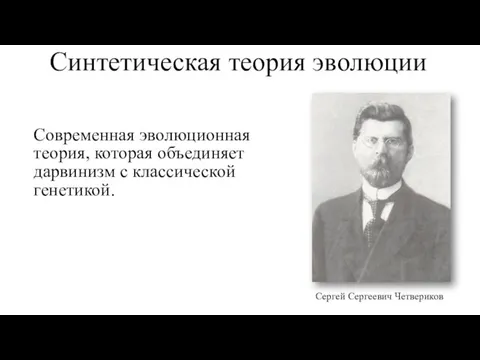 Синтетическая теория эволюции Современная эволюционная теория, которая объединяет дарвинизм с классической генетикой. Сергей Сергеевич Четвериков