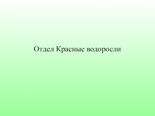 Отдел Красные водоросли