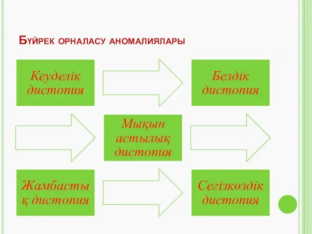 Бүйрек орналасу аномалиялары Кеуделік дистопия Белдік дистопия Мықын астылық дистопия Жамбастық дистопия Сегізкөздік дистопия