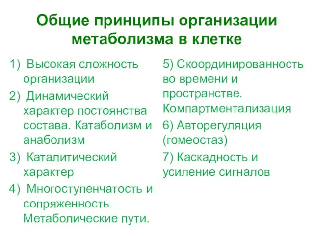 Общие принципы организации метаболизма в клетке Высокая сложность организации Динамический характер