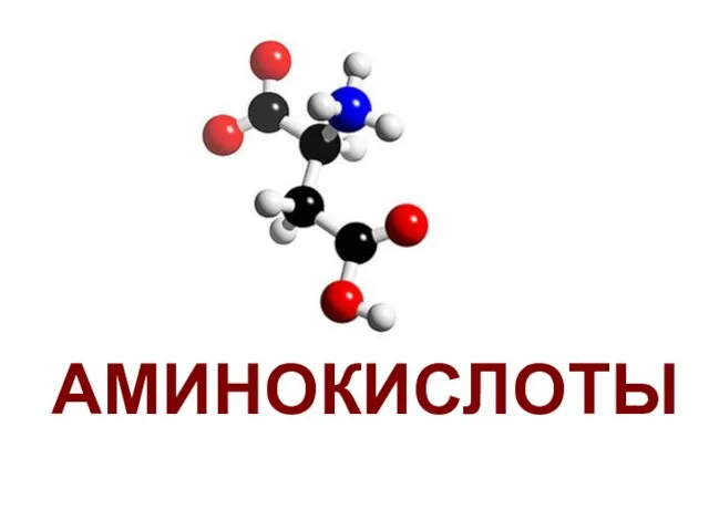 АМИНОКИСЛОТЫ