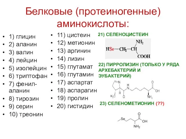 Белковые (протеиногенные) аминокислоты: 1) глицин 2) аланин 3) валин 4) лейцин