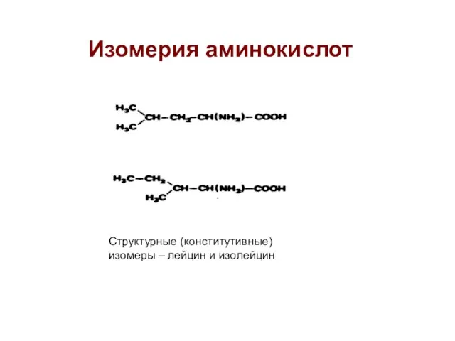 Изомерия аминокислот Структурные (конститутивные) изомеры – лейцин и изолейцин