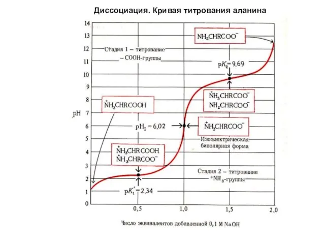 Диссоциация. Кривая титрования аланина