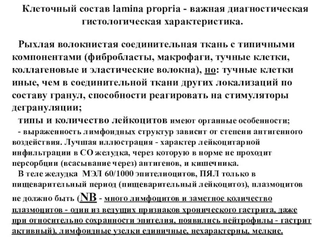 Клеточный состав lamina propria - важная диагностическая гистологическая характеристика. Рыхлая волокнистая