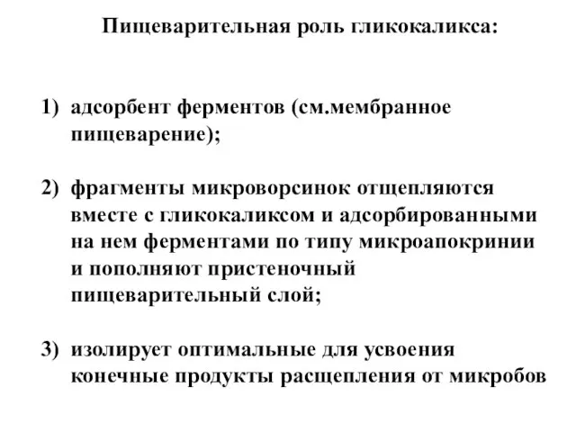 Пищеварительная роль гликокаликса: адсорбент ферментов (см.мембранное пищеварение); фрагменты микроворсинок отщепляются вместе