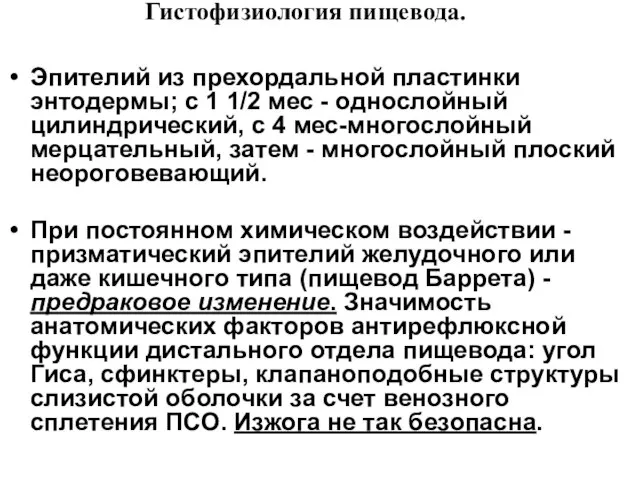 Эпителий из прехордальной пластинки энтодермы; с 1 1/2 мес - однослойный