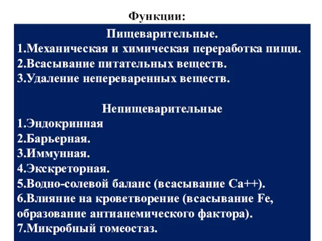 Функции: Пищеварительные. 1.Механическая и химическая переработка пищи. 2.Всасывание питательных веществ. 3.Удаление