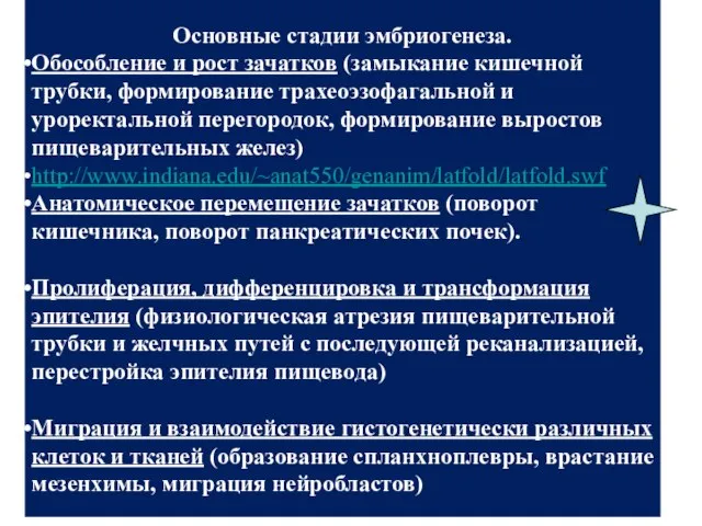 Основные стадии эмбриогенеза. Обособление и рост зачатков (замыкание кишечной трубки, формирование